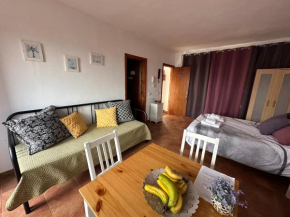 Estudio con terraza